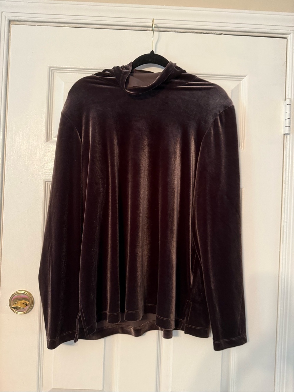 Susan Graver Velvet Turtleneck Sweater - Chocolate Brown